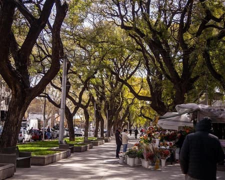 Mendoza y San Rafael con Traslados in/out + Interhotel + Excursiones