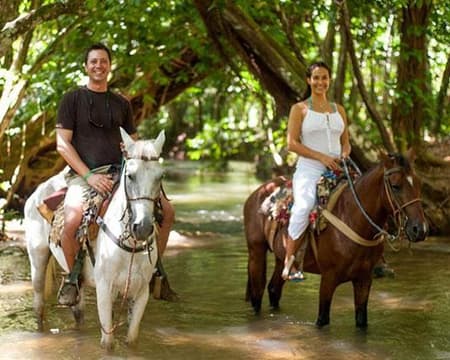 EXCURSIÓN SAMANA TERRESTE DESDE PUNTA CANA