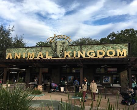 1-Day Base Ticket para Animal Kingdom Park