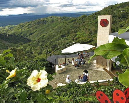 Processamento de café da Hacienda San Alberto – Privado