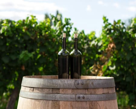 Wine Identity: Del oeste al este peninsular (los vinos más icónicos)