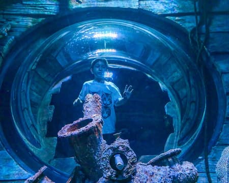Oman Aquarium 