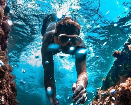 Explore the Daymaniyat Islands - Half-Day Private Trip