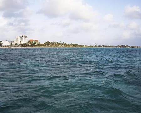 SERVICIO PRIVADO: VUELTA A LA ISLA