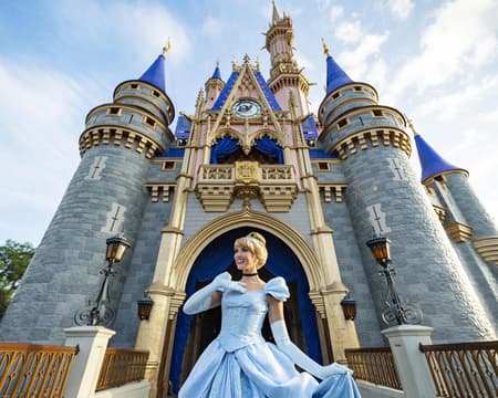 Walt Disney World 3 day tickets Option 