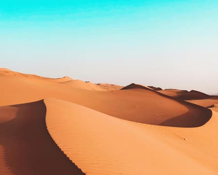 Wahiba Sands