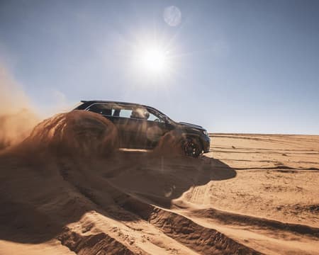 4x4 Desert Safari with Dinner from Riyadh 