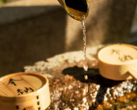 KINKAKUJI AND RYOANJI IL MEGLIO DI KYOTO