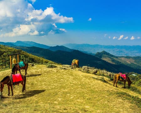 Doi Inthanon National Park (Private)