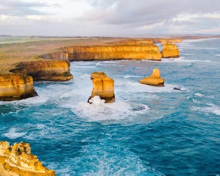 Great Ocean Road Small Group Eco tour