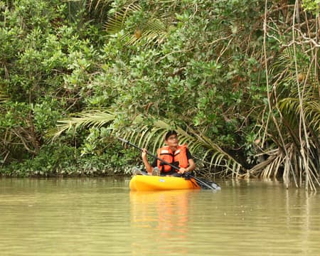 Sungai Lebam Kayaking Adventure