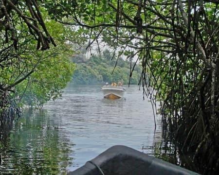 Churute Mangroves 