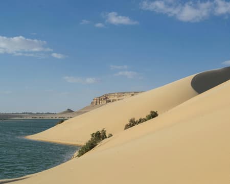 Day Trip from Cairo to Fayoum & Wadi El Rayan
