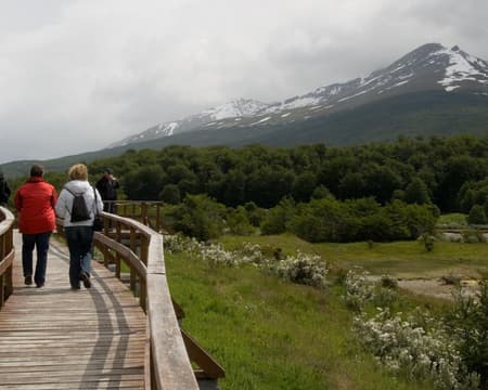 Ushuaia traslados in/out + Excursión Parque Nacional Tierra del Fuego + Opcional Tren del Fin del Mundo