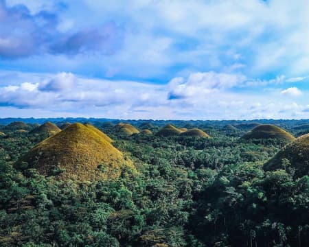 Bohol Countryside Tour with Loboc River Cruise and Lunch (Private)
