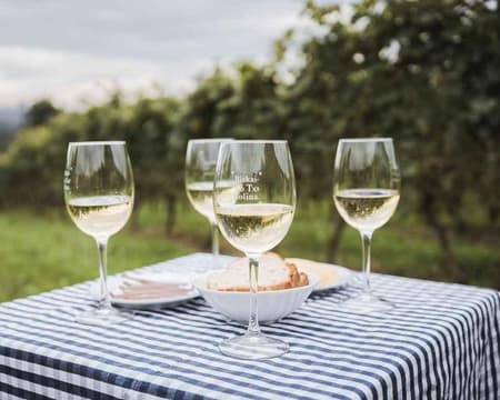 Wine Identity: Txakolis de guarda y anchoas