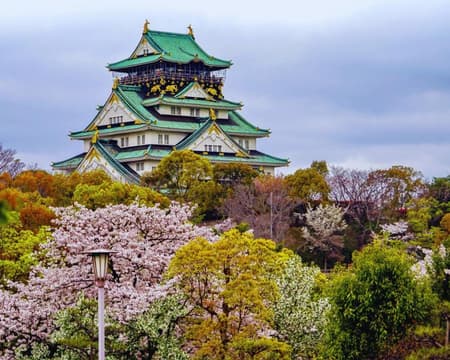 Osaka Top Spots in One Day (Private)
