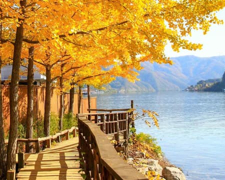 The Alluring Nami Island (Private)