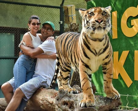Tiger Kingdom - Private