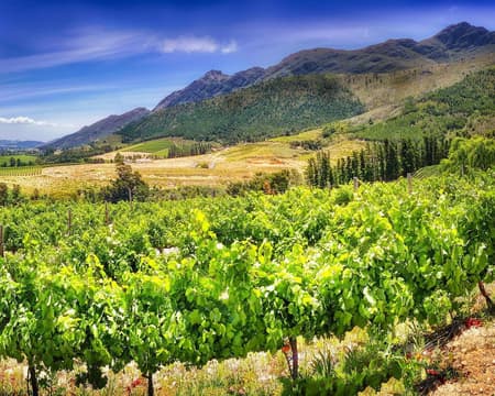 Täler und Weinberge von Paarl