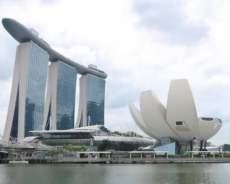 COMBO: Gardens by the Bay - Avatar: The Experience at Cloud Forest + Flower Dome + Marina Bay Sands SkyPark Observation Deck - SIC