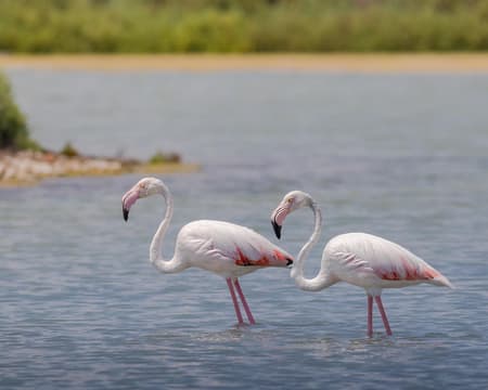  Sierra Negra Vulkan (wanderung) ab/bis isabela Island