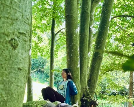 Forest Bathing: Sensory stress-relief immersion in the woods.