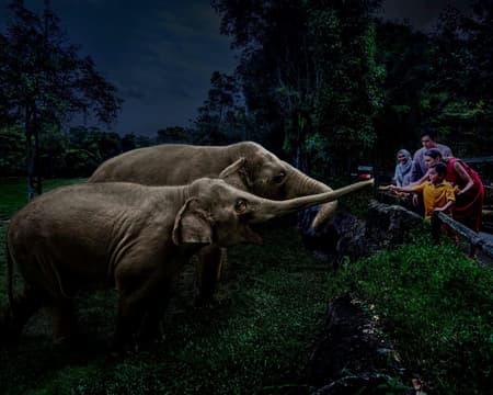 Combo Night Safari and River Wonder Mandai