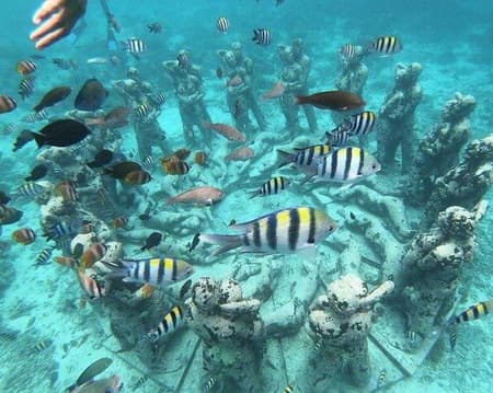 Gili Trawangan Privater Schnorchelausflug
