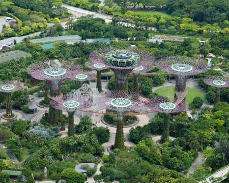 COMBO Gardens by the Bay & MBS Park