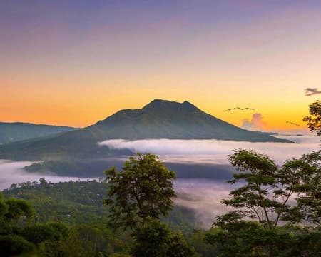 Full-Day Bali Tour: Kintamani Volcano View + Tirta Empul Temple Visit + Ubud Art Market Exploration on private basis from Ubud