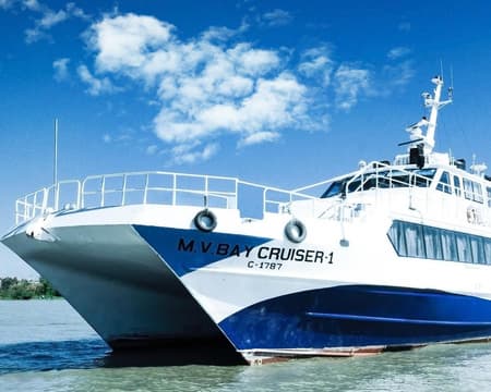 San Francisco City Tour & Bay Cruise on SIC