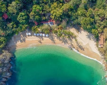 YELAPA Y MAJAHUITAS (CVU)