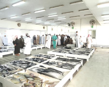 Whispers of Al-Batinah: A Journey Through Markets, Springs, and Mountain