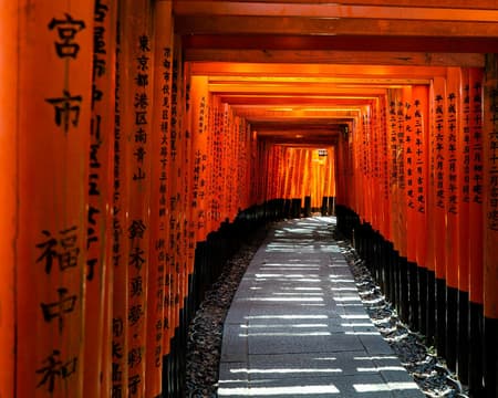 NARA AND FUSHIMI INARI