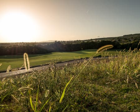 T-Golf Palma