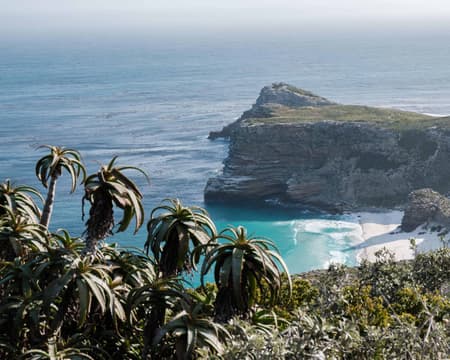 Cape Point Tagesausflug