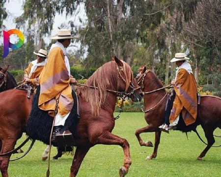 Pachacamac with Typical Dances and Peruvian Paso Horse Show