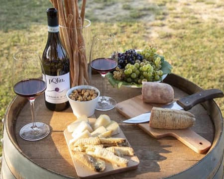 VISITA E DEGUSTAZIONE 'ROERO E NON SOLO' PRESSO LA CANTINA PQLIN
