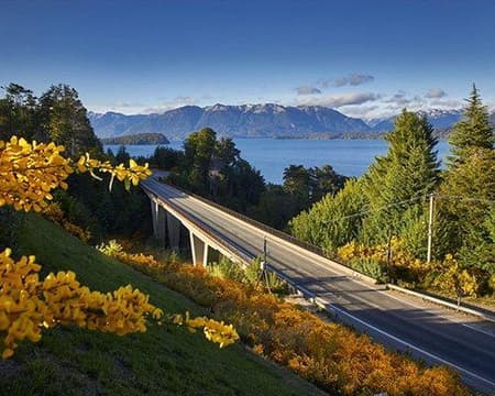 Traslados IN/OUT + Circuito Chico  (hoteles ubicados hasta km. 5 Centro Cívico)