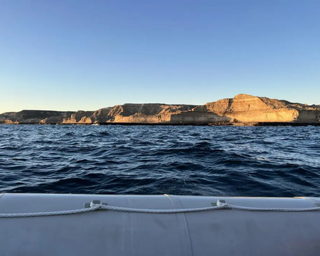 Excursión a la Península de Valdés