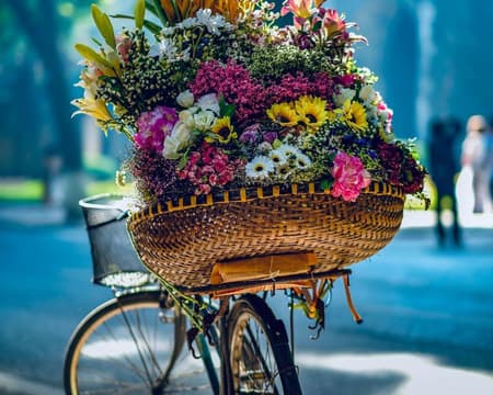 Full Day Hanoi Classic City Tour - Private