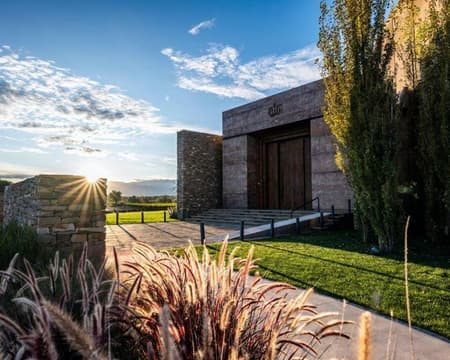 Ruta del Vino y Singani de Altura