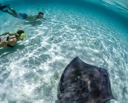 TOUR COZUMEL CIELO CANCÚN CON TRANSPORTACIÓN (CVU)