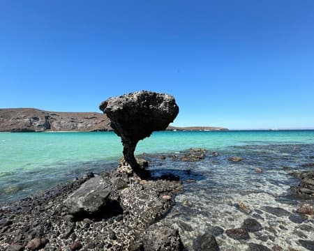 PLAYA BALANDRA CON TRANSPORTACIÓN (CVU) 