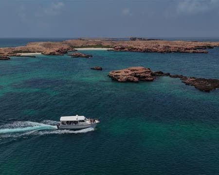 Dimaniyat lsland cruise - Half-Day