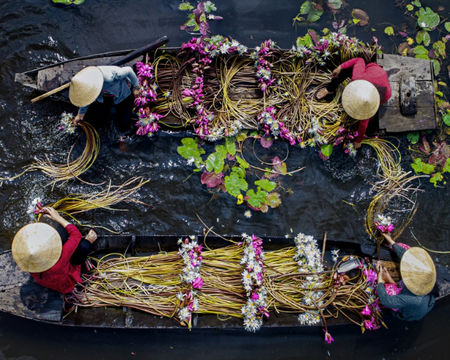 Full Day Mekong Delta (My Tho - Ben Tre) - Private Tour