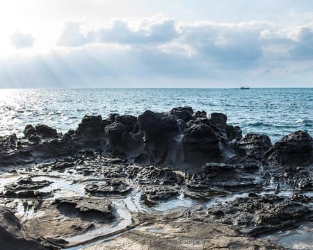 Jeju West Coast Gems and Adventure (Private)