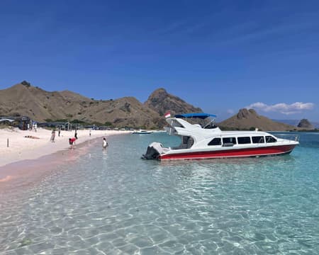 Adventure Awaits: Shared Speed Boat Trip to Komodo Island, Pink Beach, and Padar Island