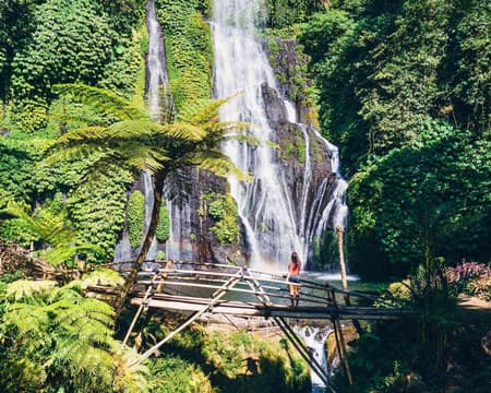 Ubud Swing By Kokat with Private transfers